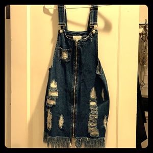 Hayden Denim Distressed Zip Up Dress